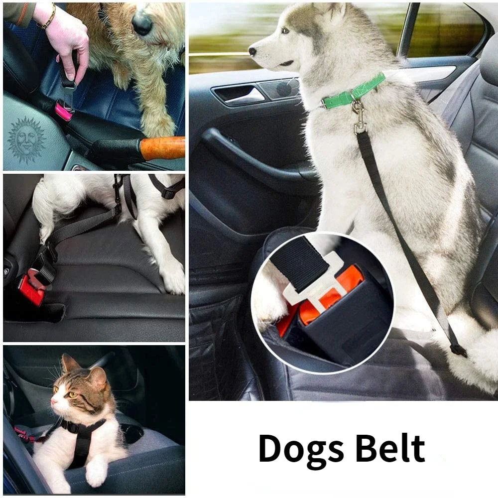 🚗 Verstellbarer Hunde-Sicherheitsgurt – Sicher & bequem für unterwegs/Spaziergang