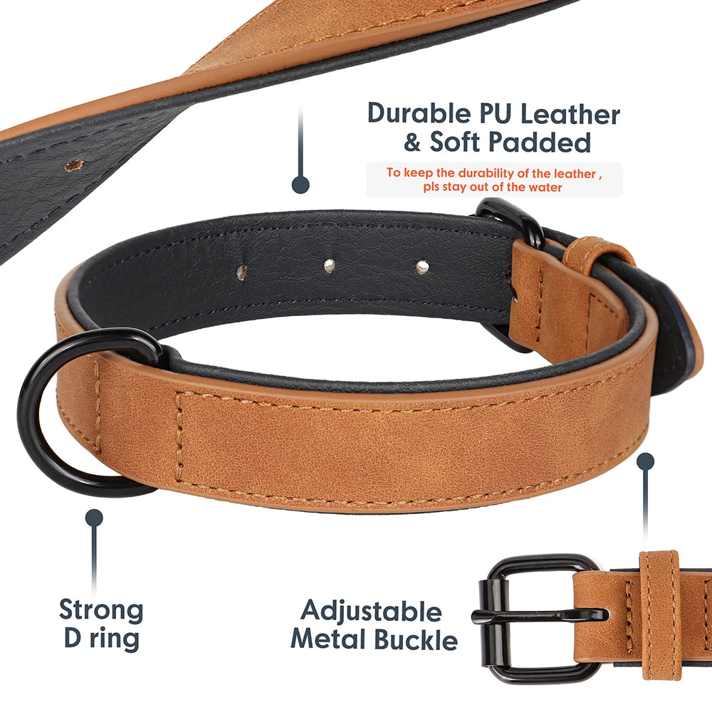 Hundehalsband aus Echtleder für Spaziergänge – Gepolstert, Robust & Verstellbar (S–2XL)