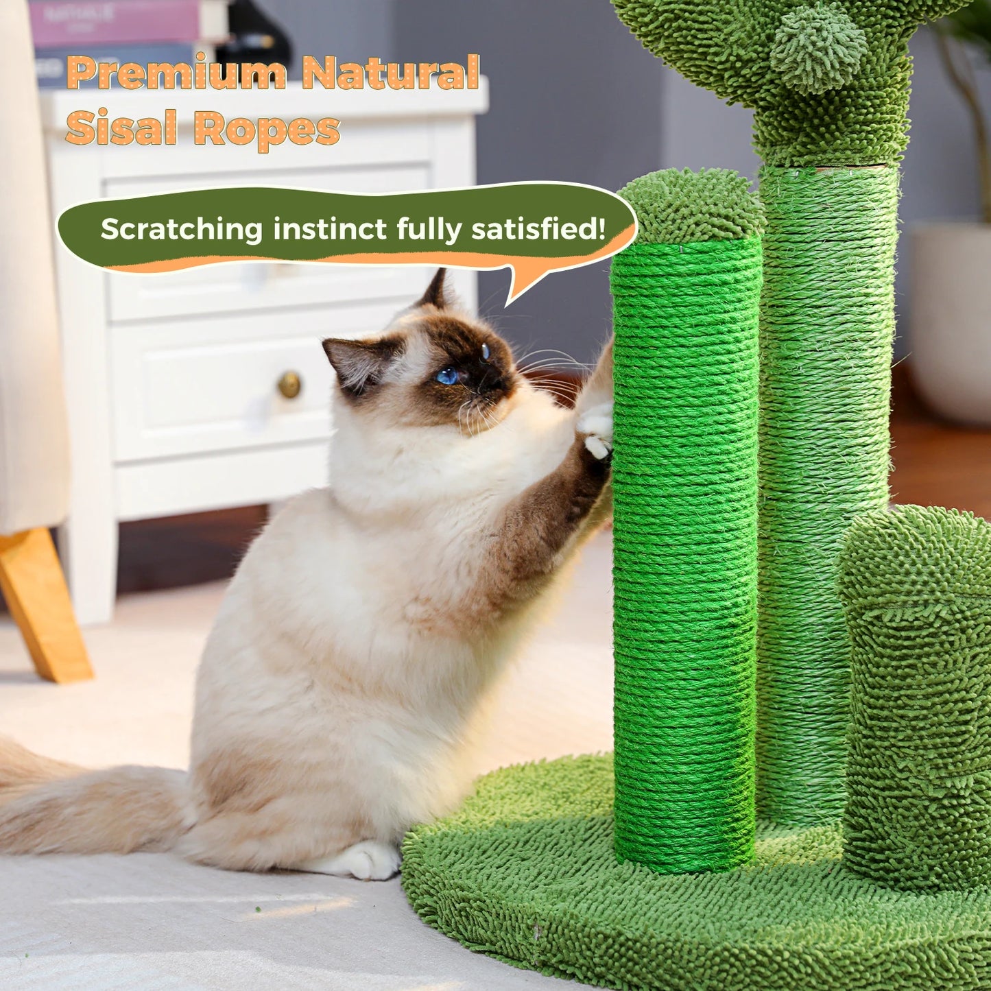 Kaktus Kratzbaum für Katzen mit 3 Sisal-Posten & Spielball – PAWZ Road
