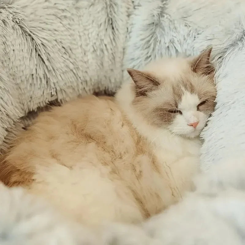 „SnuggleTunnel“ – Rundes Katzenbett mit integriertem Spieltunnel & waschbarem Kissen