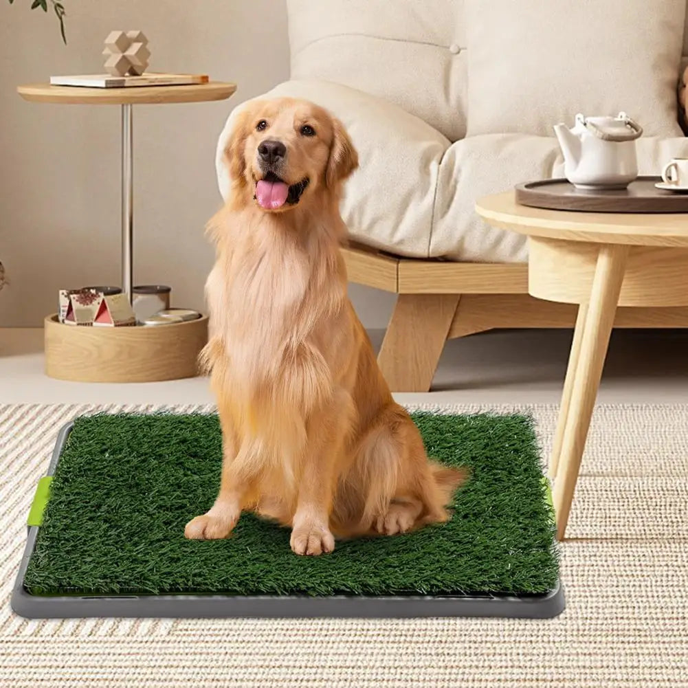 🐾 „GreenRelief“ – Künstliche Gras-Toilette für Hundeerrziehung/ Pflege Die praktische & hygienische Lösung wenn der Spaziergang nicht klappt!