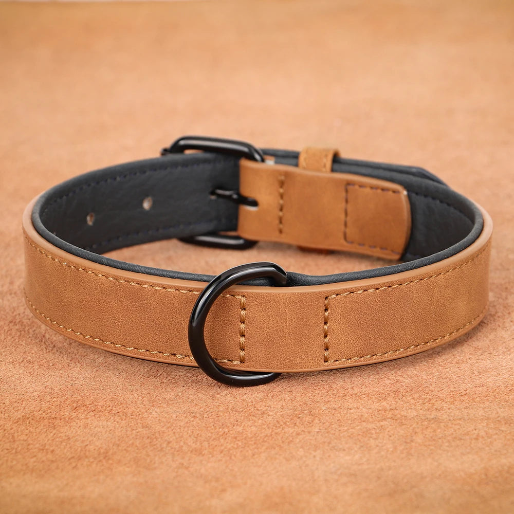 Hundehalsband aus Echtleder für Spaziergänge – Gepolstert, Robust & Verstellbar (S–2XL)