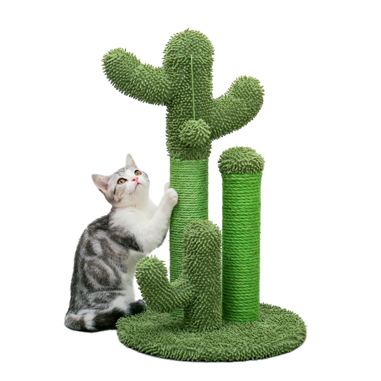 Kaktus Kratzbaum für Katzen mit 3 Sisal-Posten & Spielball – PAWZ Road