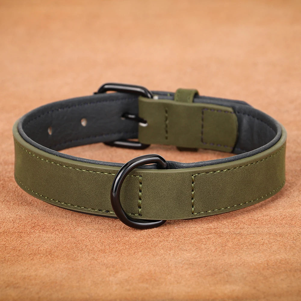 Hundehalsband aus Echtleder für Spaziergänge – Gepolstert, Robust & Verstellbar (S–2XL)
