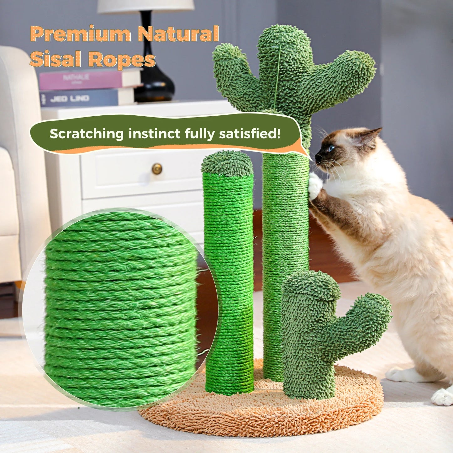 Kaktus Kratzbaum für Katzen mit 3 Sisal-Posten & Spielball – PAWZ Road