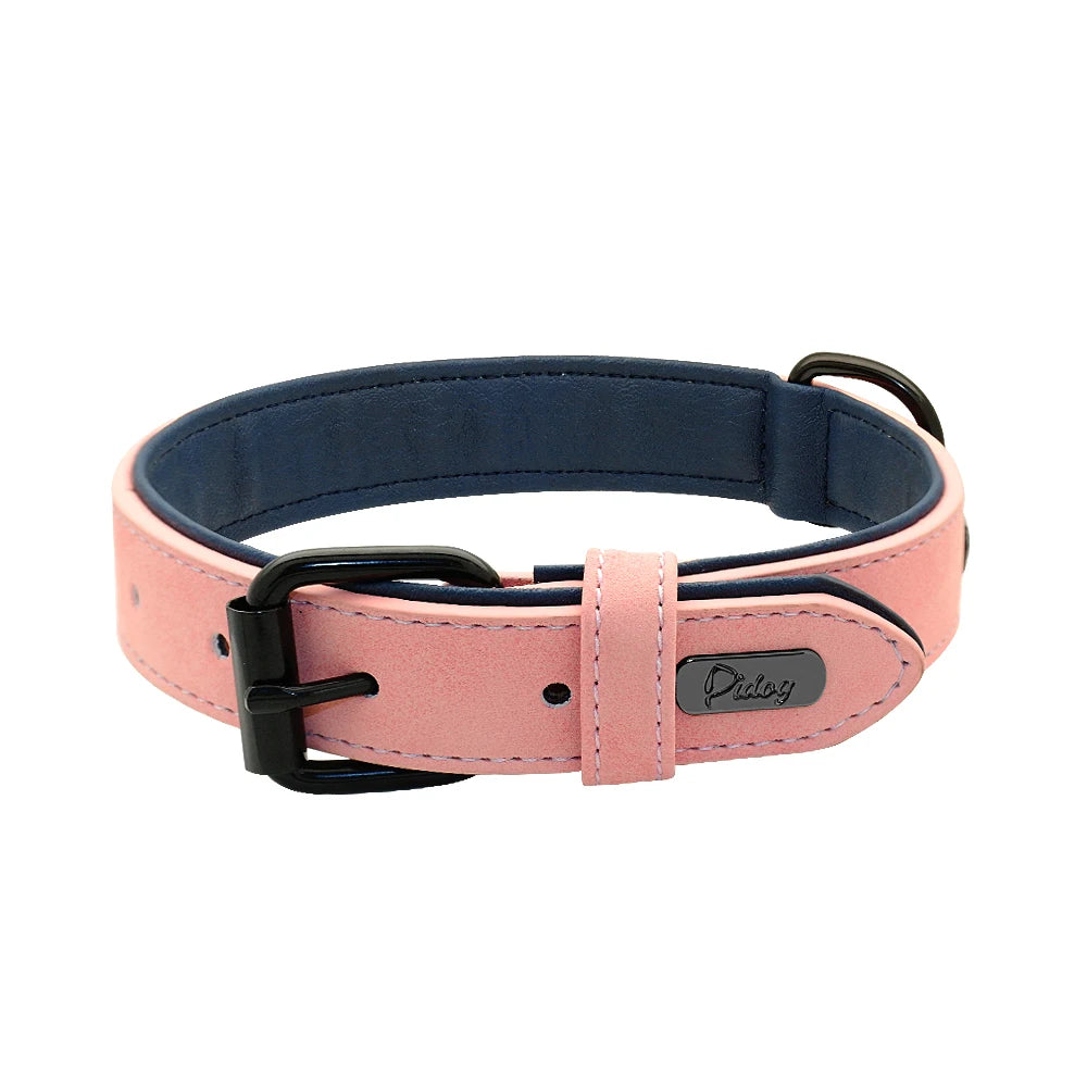Hundehalsband aus Echtleder für Spaziergänge – Gepolstert, Robust & Verstellbar (S–2XL)