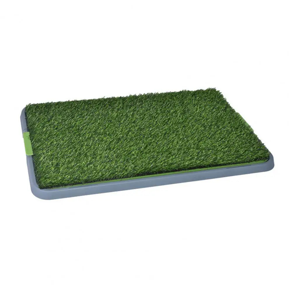 🐾 „GreenRelief“ – Künstliche Gras-Toilette für Hundeerrziehung/ Pflege Die praktische & hygienische Lösung wenn der Spaziergang nicht klappt!