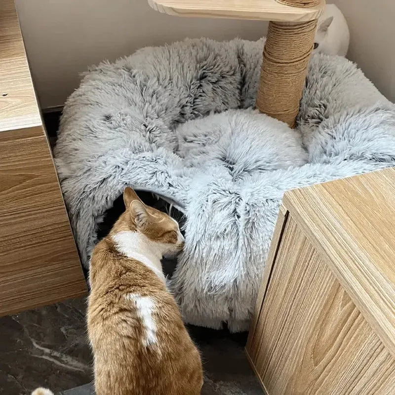 „SnuggleTunnel“ – Rundes Katzenbett mit integriertem Spieltunnel & waschbarem Kissen