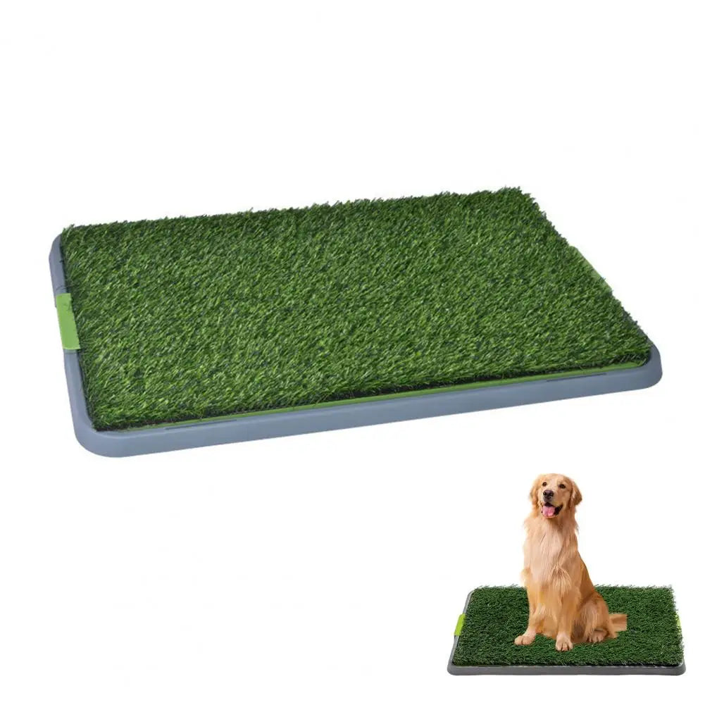 🐾 „GreenRelief“ – Künstliche Gras-Toilette für Hundeerrziehung/ Pflege Die praktische & hygienische Lösung wenn der Spaziergang nicht klappt!