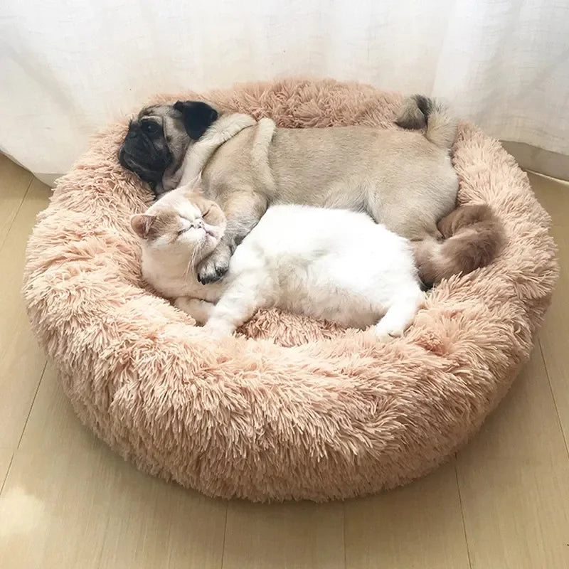 🐾 CozyNest™ Plüsch-Hundebett aus Cord – Waschbar, rutschfest ; super flauschig