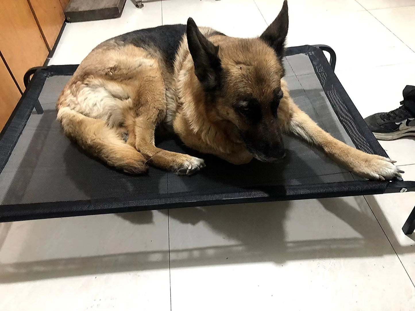 🐾 To'wau'er– Atmungsaktives Komfort-Bett für Hunde | 4 Größen