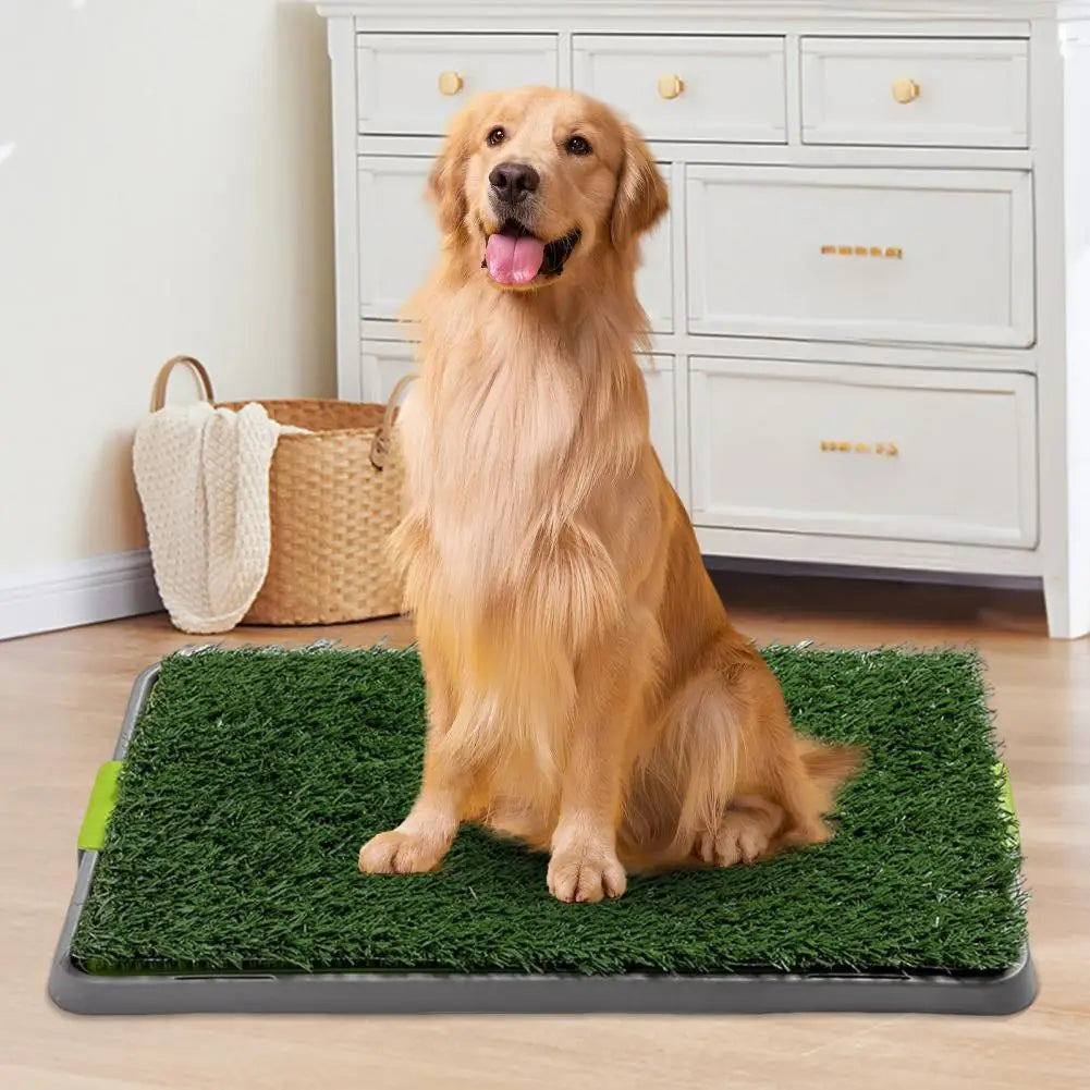 🐾 „GreenRelief“ – Künstliche Gras-Toilette für Hundeerrziehung/ Pflege Die praktische & hygienische Lösung wenn der Spaziergang nicht klappt!