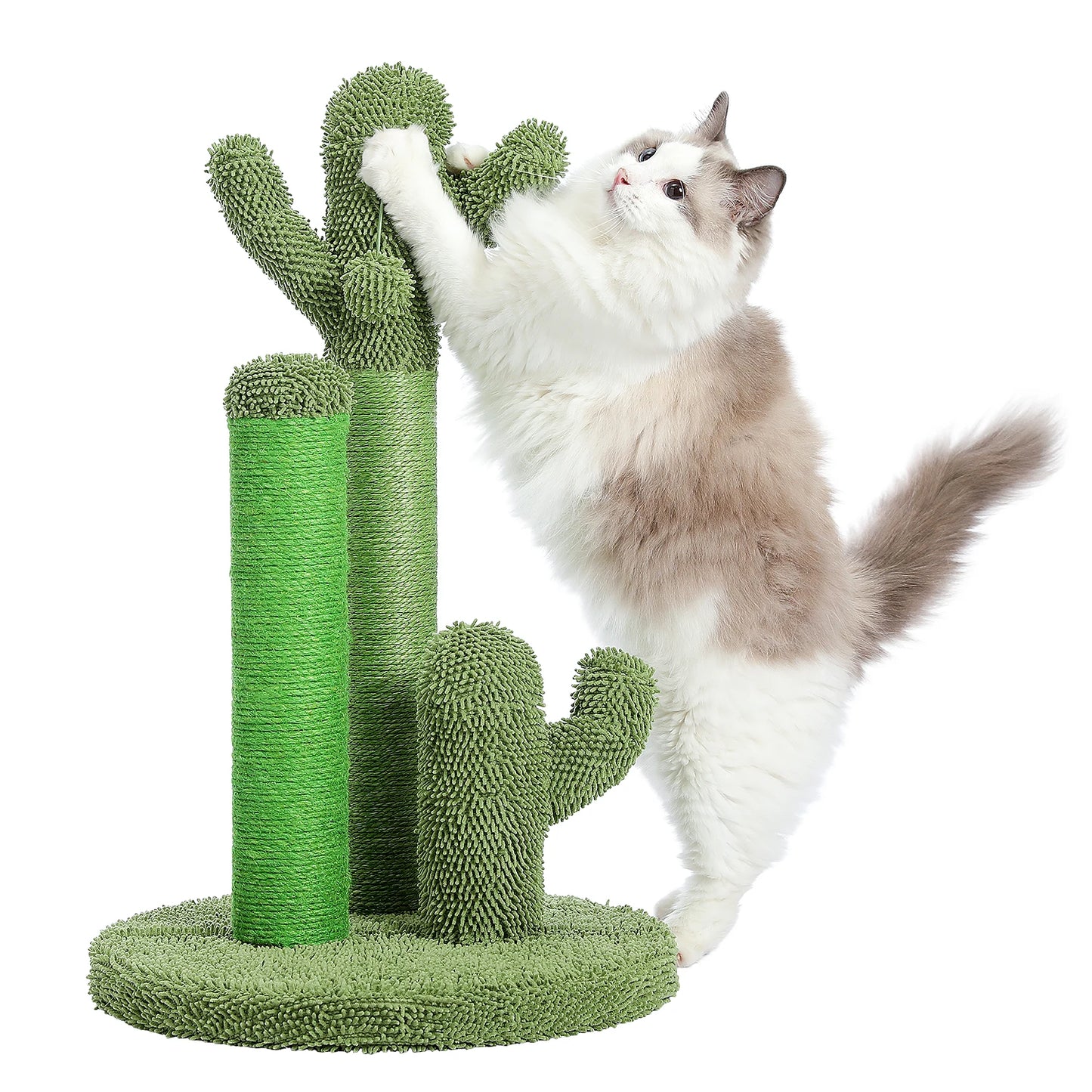 Kaktus Kratzbaum für Katzen mit 3 Sisal-Posten & Spielball – PAWZ Road