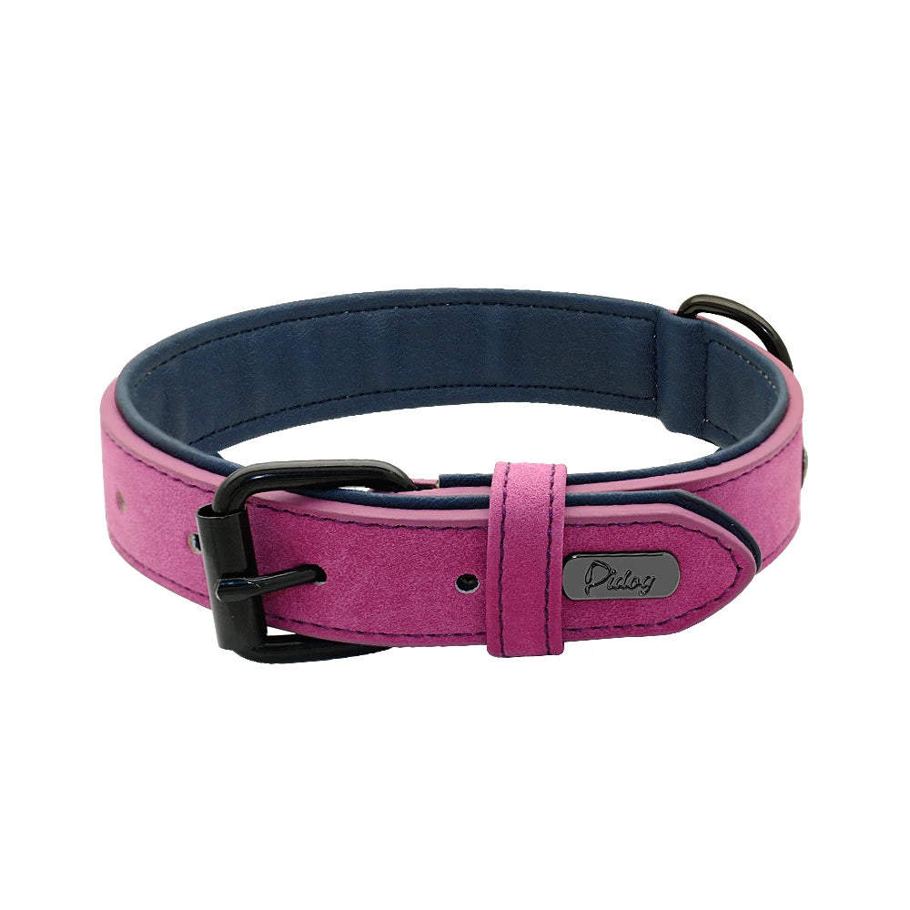 Hundehalsband aus Echtleder für Spaziergänge – Gepolstert, Robust & Verstellbar (S–2XL)