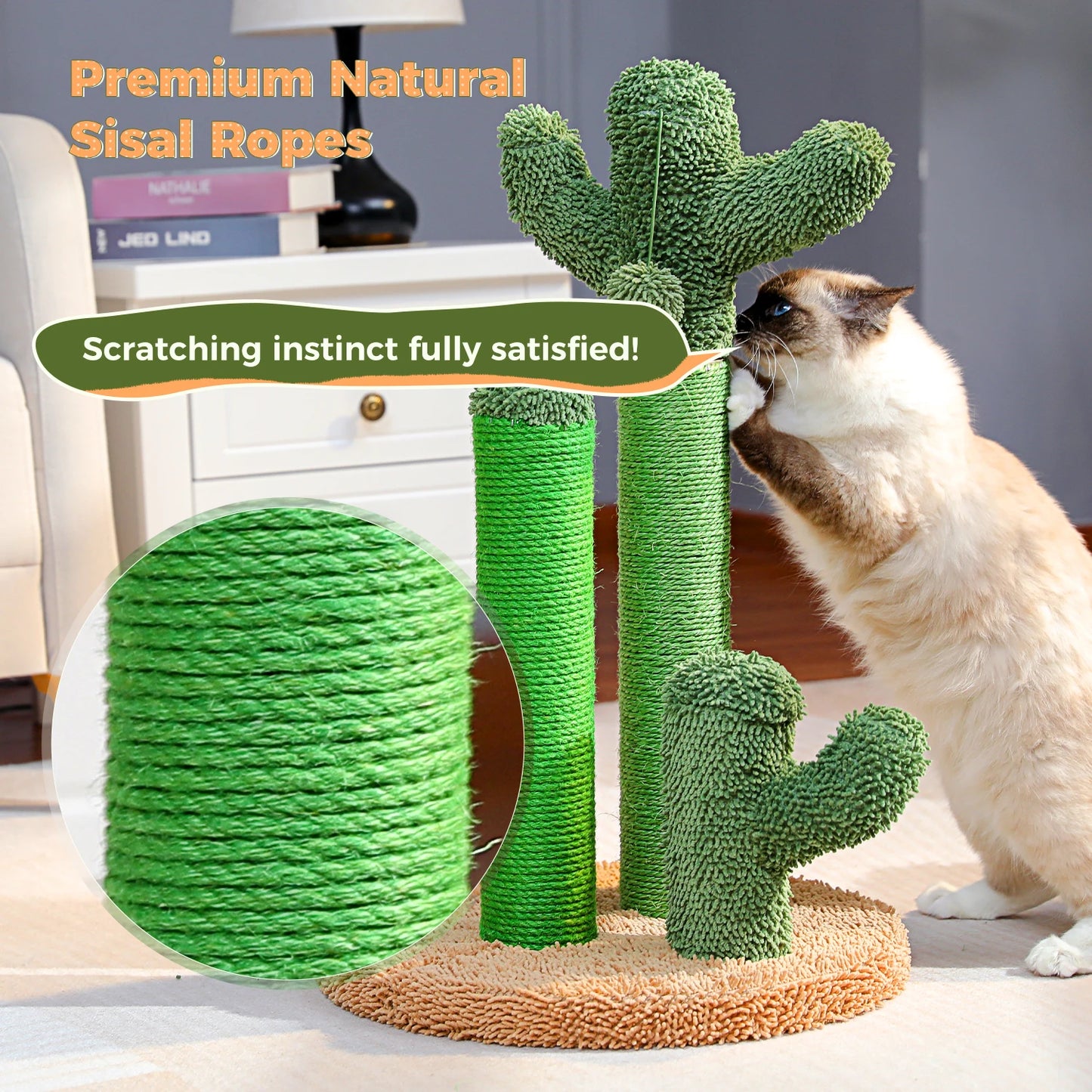 Kaktus Kratzbaum für Katzen mit 3 Sisal-Posten & Spielball – PAWZ Road