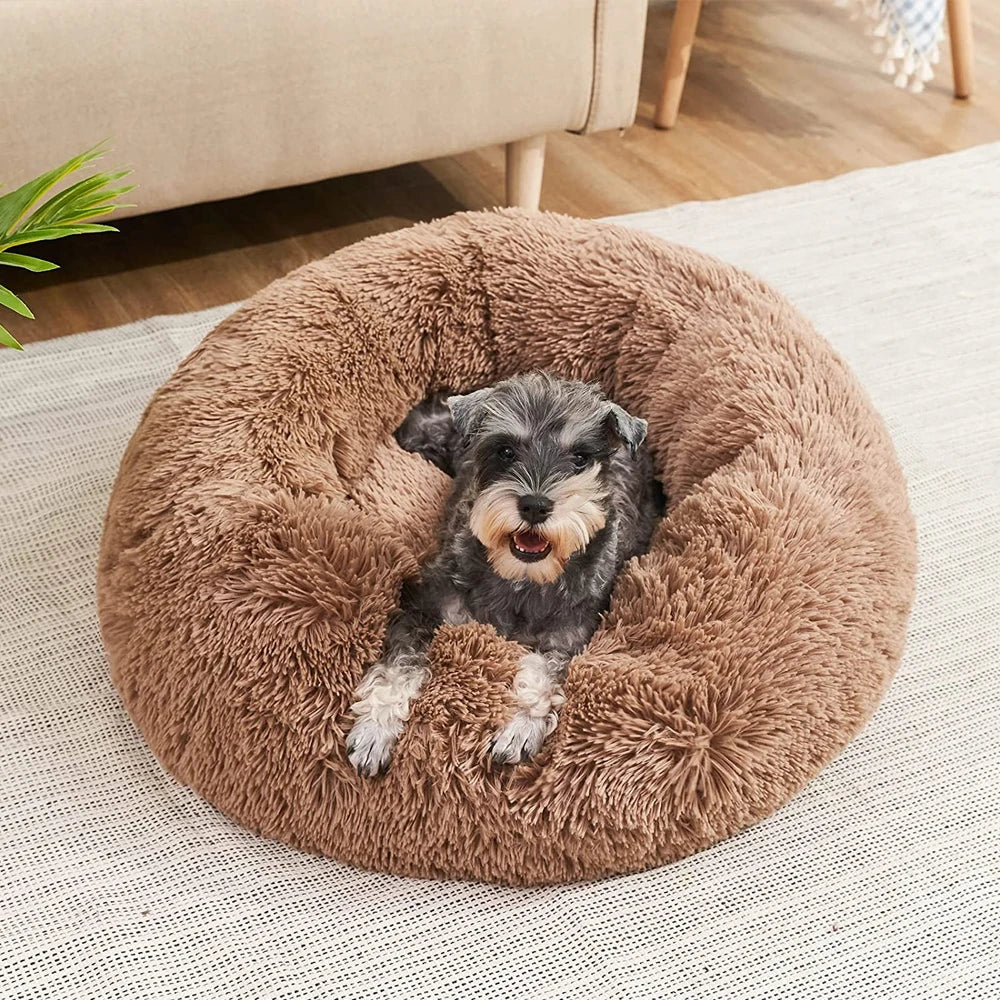 🐾 CozyNest™ Plüsch-Hundebett aus Cord – Waschbar, rutschfest ; super flauschig