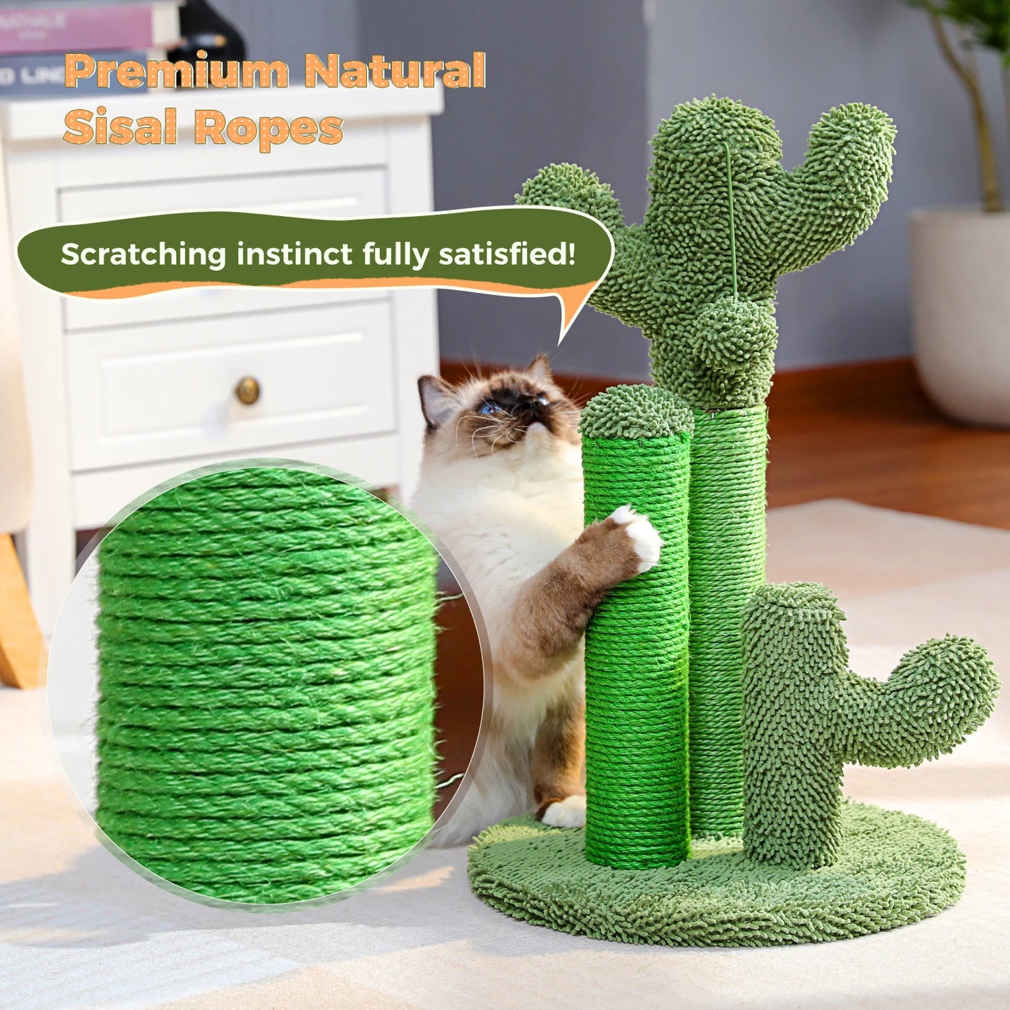 Kaktus Kratzbaum für Katzen mit 3 Sisal-Posten & Spielball – PAWZ Road