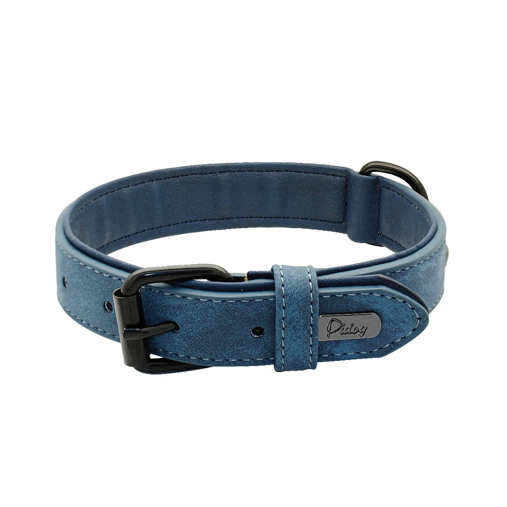 Hundehalsband aus Echtleder für Spaziergänge – Gepolstert, Robust & Verstellbar (S–2XL)