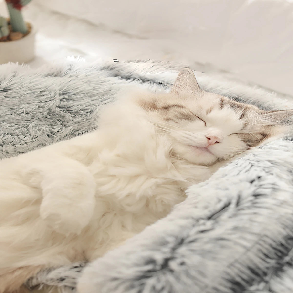 🐾 „SnuggleDome“ – Flauschiges 2-in-1 Katzenbett mit Höhlendecke & abnehmbarem Bezug