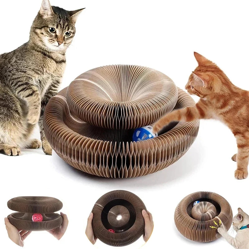 „CardClaw Arena“ – Kratzspielzeug mit Ballbahn & Wabendesign aus robuster Wellpappe für Katzen