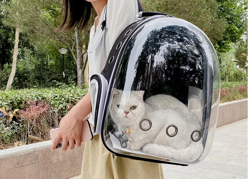 Katzenrucksack/-bett „SkyView“ – Belüfteter Transport-Rucksack für Spaziergänge mit Sichtblase & Seitentasche