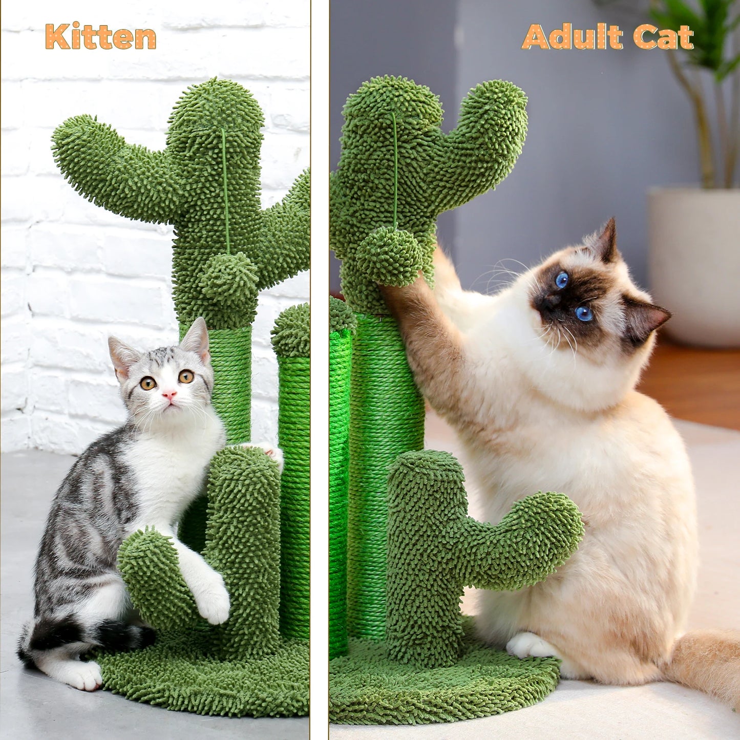 Kaktus Kratzbaum für Katzen mit 3 Sisal-Posten & Spielball – PAWZ Road
