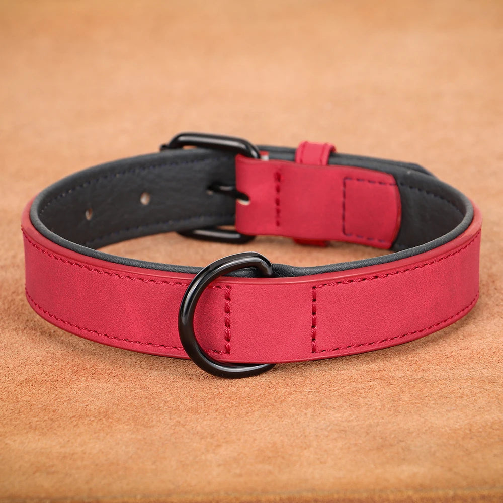Hundehalsband aus Echtleder für Spaziergänge – Gepolstert, Robust & Verstellbar (S–2XL)