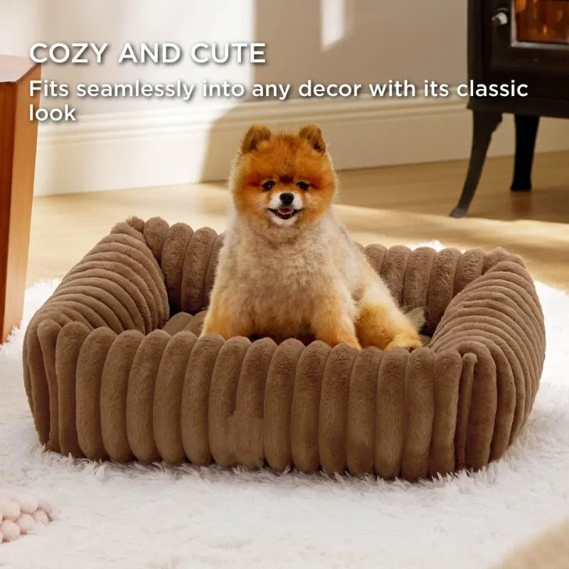 🐾 SnuggleNest™ – Kuscheliges Hundebett mit Randstütze (für kleine- mittelgroße Hunde)