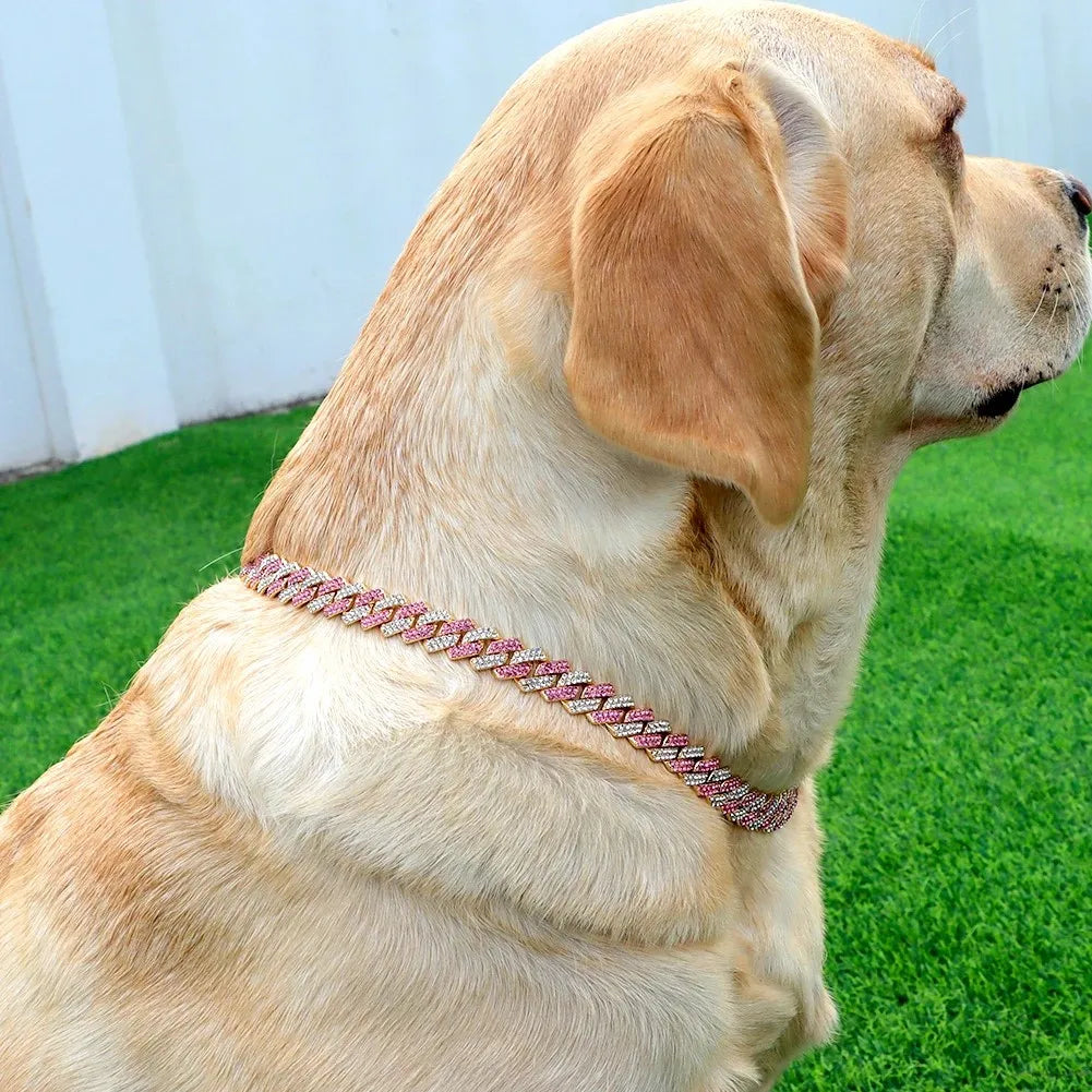 Livepetsme Luxuriöses Haustier-Halsband für Hund und Katze – Cuban Chain mit Strasssteinen für edle Spaziergänge