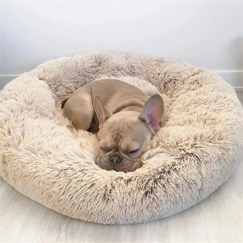 🐾 CozyNest™ Plüsch-Hundebett aus Cord – Waschbar, rutschfest ; super flauschig