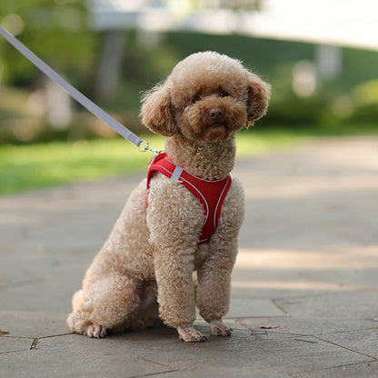 🐾 Verstellbares Hundegeschirr mit Leine für Spaziergang – Komfort & Sicherheit für kleine Hunde