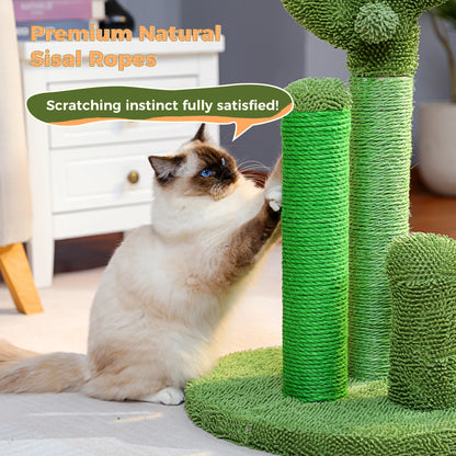 Kaktus Kratzbaum für Katzen mit 3 Sisal-Posten & Spielball – PAWZ Road
