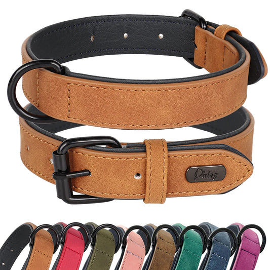 Hundehalsband aus Echtleder für Spaziergänge – Gepolstert, Robust & Verstellbar (S–2XL)
