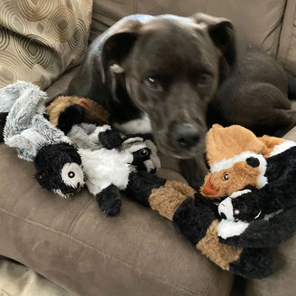Plüsch Quietschspielzeug für Hunde – Weich, Robust & Beschäftigend