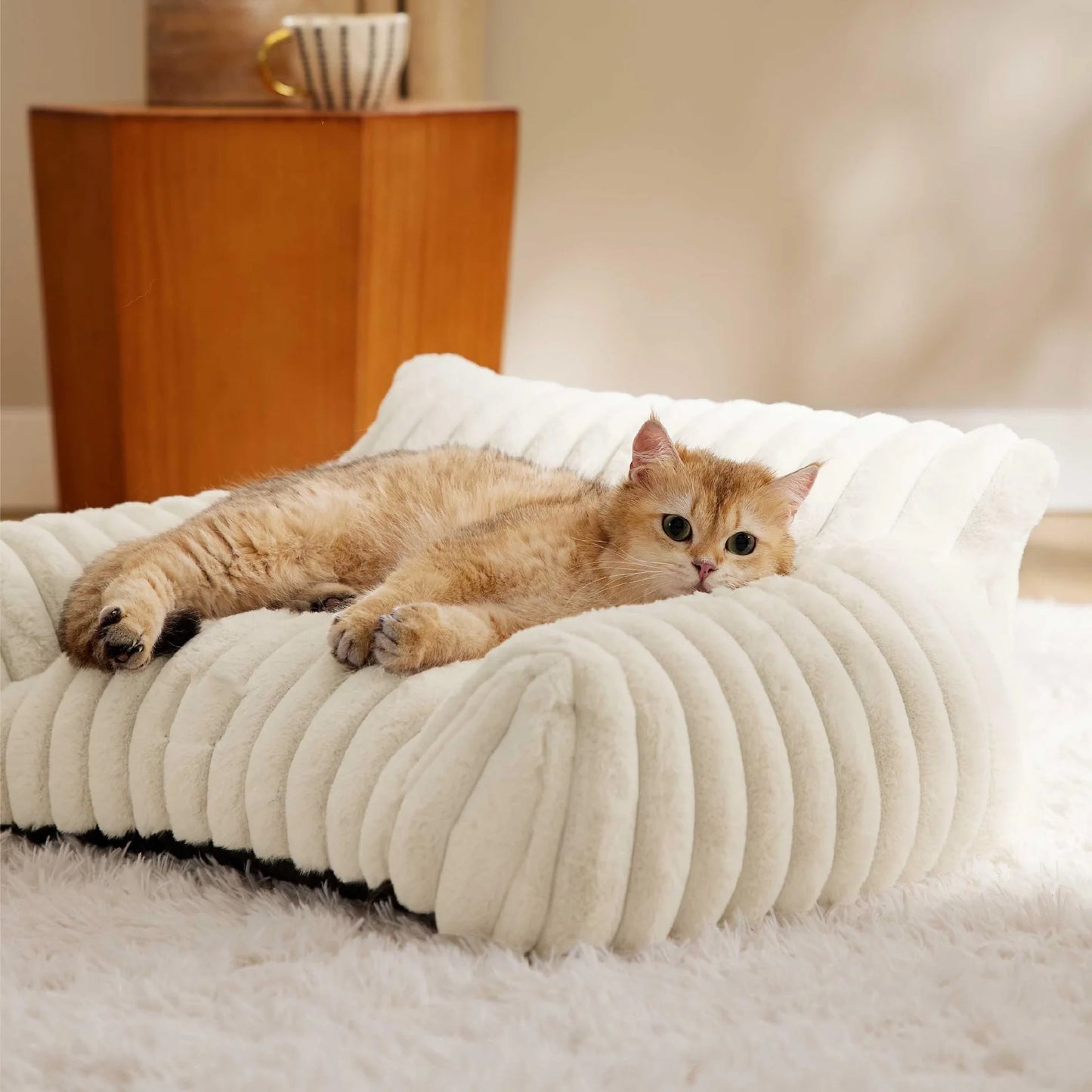 🐾  SnuggleNest™ – Premium Haustiersofa/-bett mit 3-seitiger Rückenlehne | Weiches Plüschbett für Hunde & Katzen