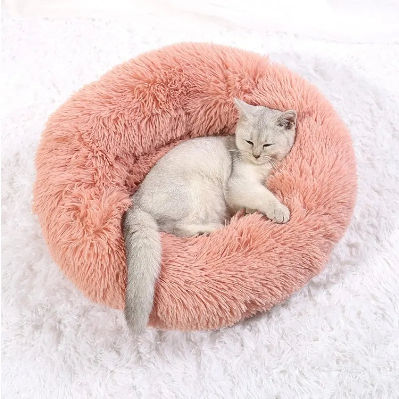 🐾 CozyNest™ Plüsch-Hundebett aus Cord – Waschbar, rutschfest ; super flauschig