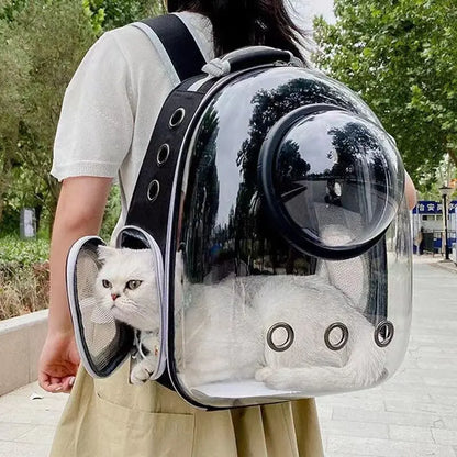 Katzenrucksack/-bett „SkyView“ – Belüfteter Transport-Rucksack für Spaziergänge mit Sichtblase & Seitentasche