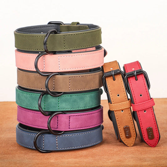 Hundehalsband aus Echtleder für Spaziergänge – Gepolstert, Robust & Verstellbar (S–2XL)