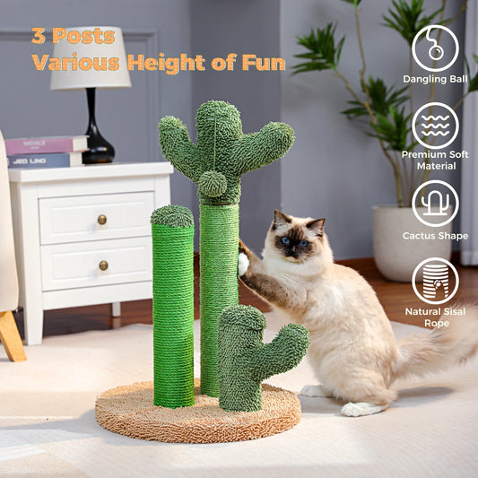 Kaktus Kratzbaum für Katzen mit 3 Sisal-Posten & Spielball – PAWZ Road