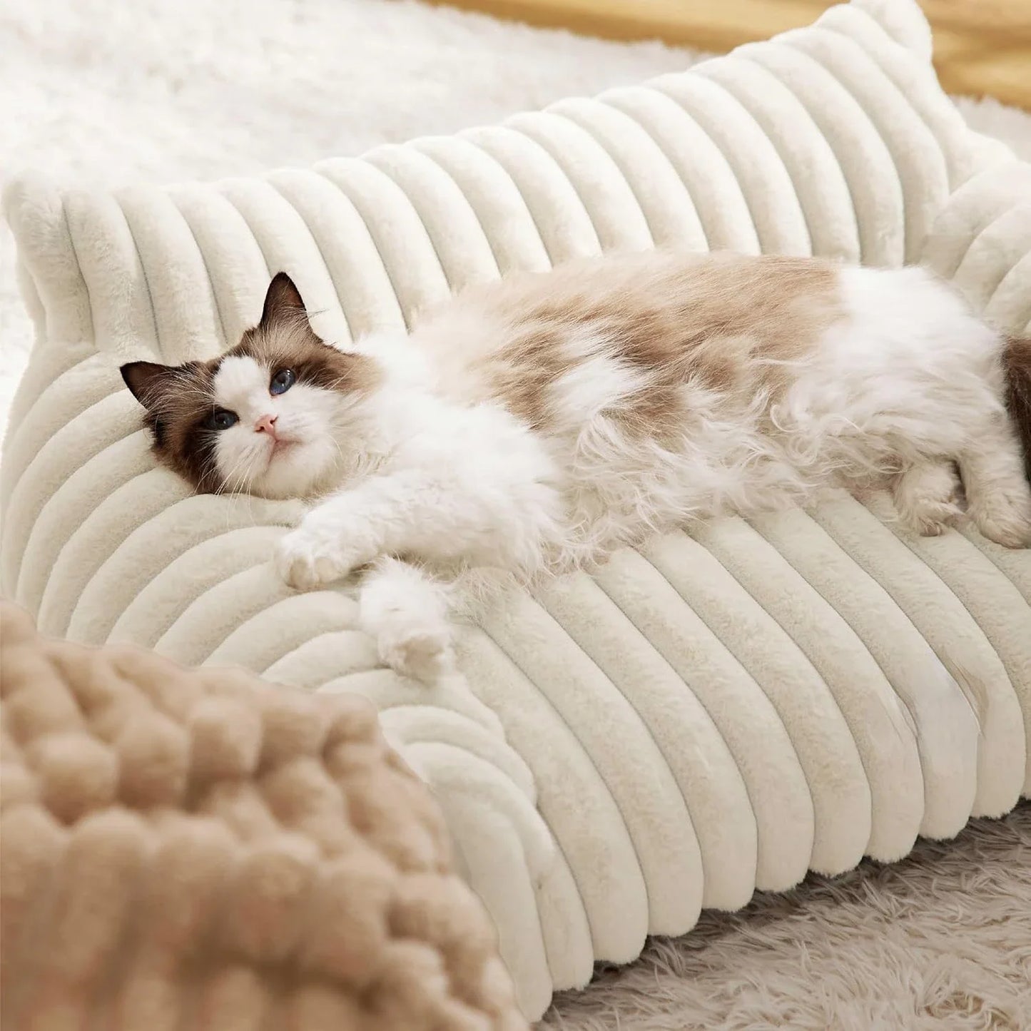 🐾  SnuggleNest™ – Premium Haustiersofa/-bett mit 3-seitiger Rückenlehne | Weiches Plüschbett für Hunde & Katzen