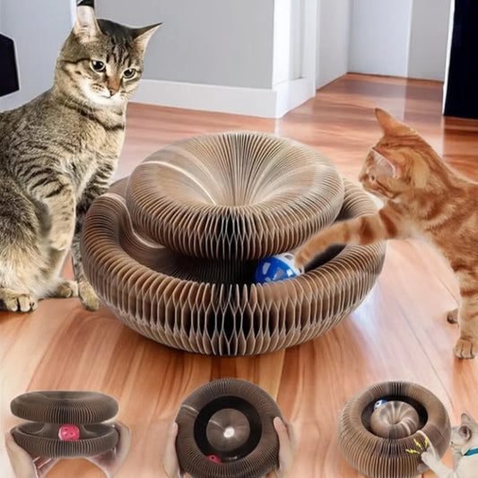 „CardClaw Arena“ – Kratzspielzeug mit Ballbahn & Wabendesign aus robuster Wellpappe für Katzen