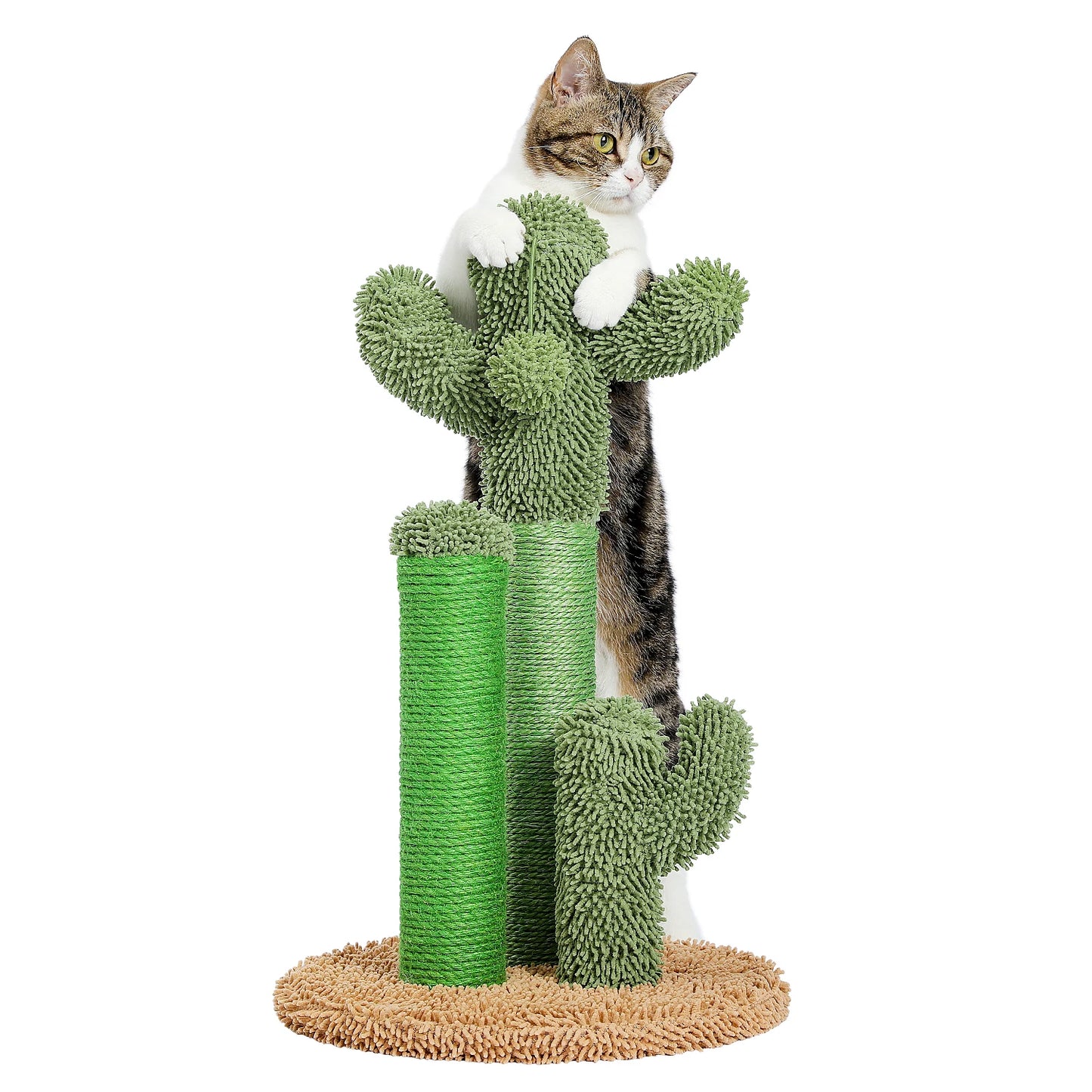 Kaktus Kratzbaum für Katzen mit 3 Sisal-Posten & Spielball – PAWZ Road