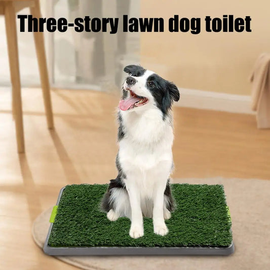 🐾 „GreenRelief“ – Künstliche Gras-Toilette für Hundeerrziehung/ Pflege  Die praktische & hygienische Lösung wenn der Spaziergang nicht klappt!