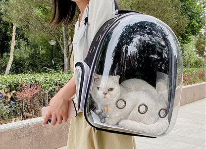 Katzenrucksack/-bett „SkyView“ – Belüfteter Transport-Rucksack für Spaziergänge mit Sichtblase & Seitentasche