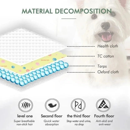 🟦 WashMate™ – Wiederverwendbare Hundeurinmatte mit Anti-Rutsch-Funktion