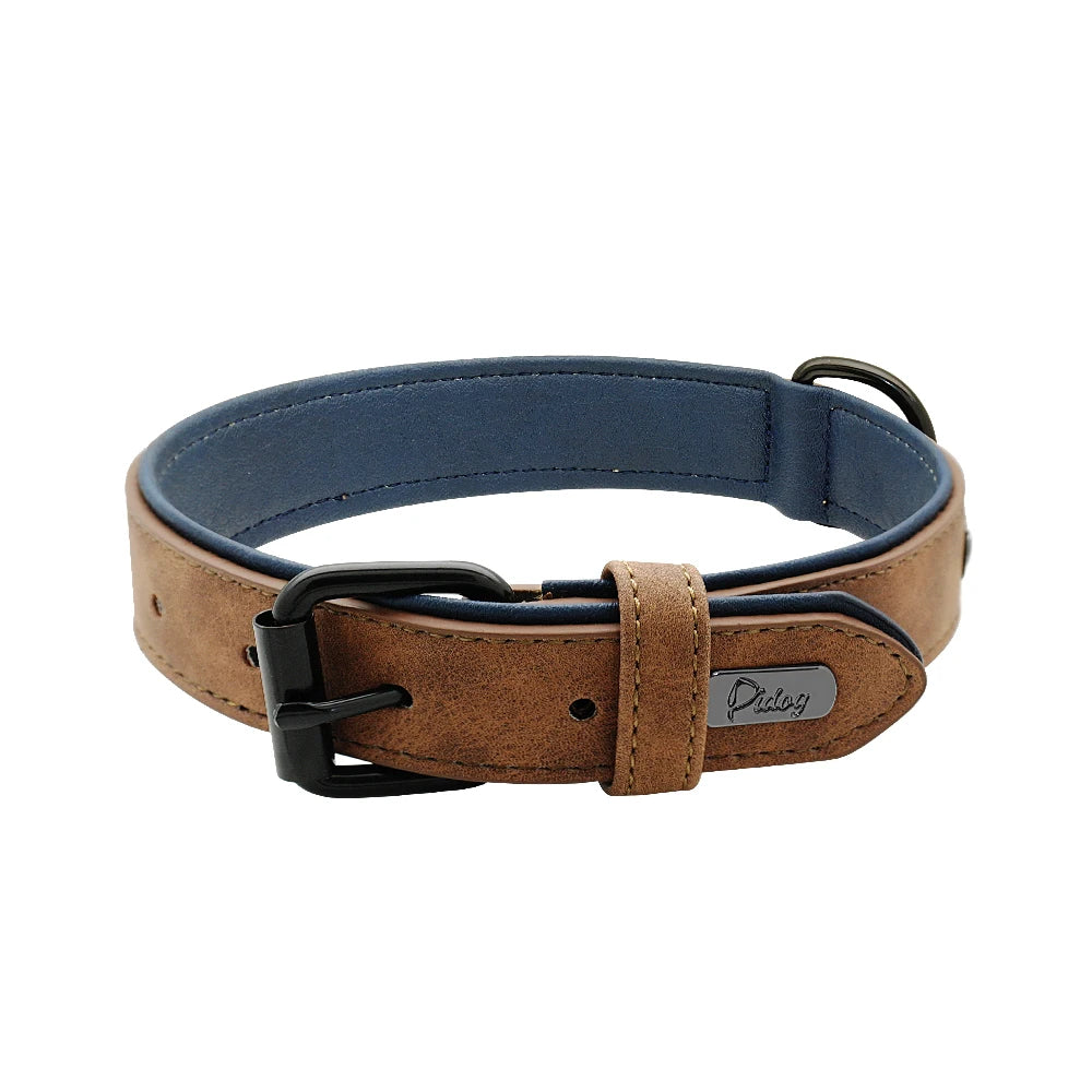 Hundehalsband aus Echtleder für Spaziergänge – Gepolstert, Robust & Verstellbar (S–2XL)