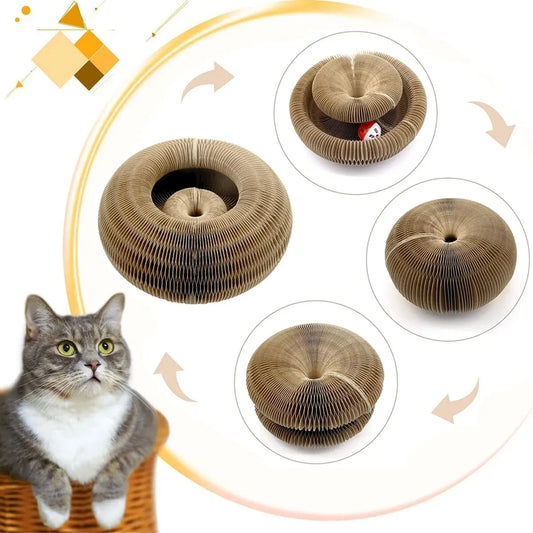 „CardClaw Arena“ – Kratzspielzeug mit Ballbahn & Wabendesign aus robuster Wellpappe für Katzen